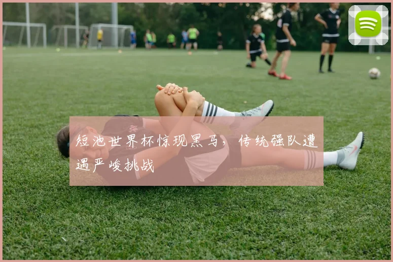短池世界杯惊现黑马，传统强队遭遇严峻挑战