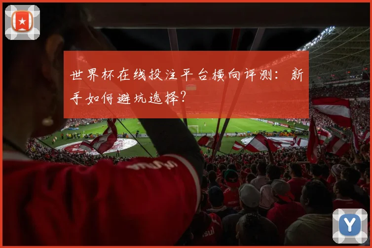 世界杯在线投注平台横向评测:新手如何避坑选择?