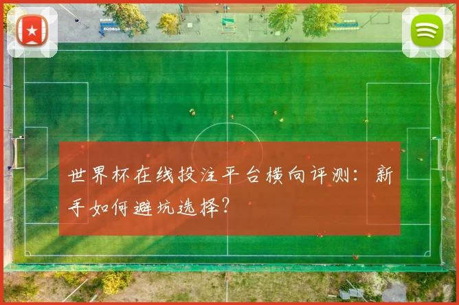 世界杯在线投注平台横向评测:新手如何避坑选择?