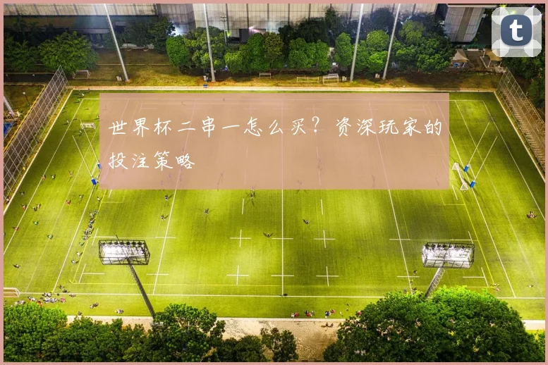 世界杯二串一怎么买？资深玩家的投注策略