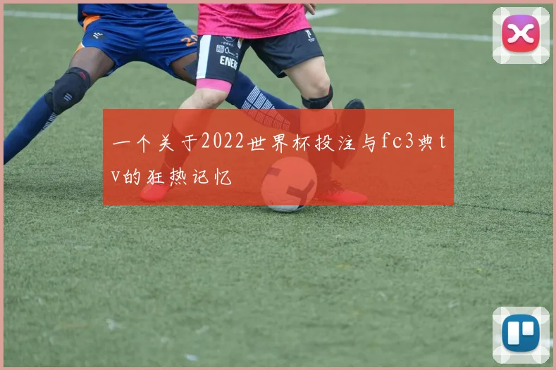 一个关于2022世界杯投注与fc3典tv的狂热记忆
